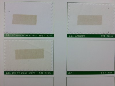 SD-DGYE   細紡   T/C    45*45   110*76 細節-1